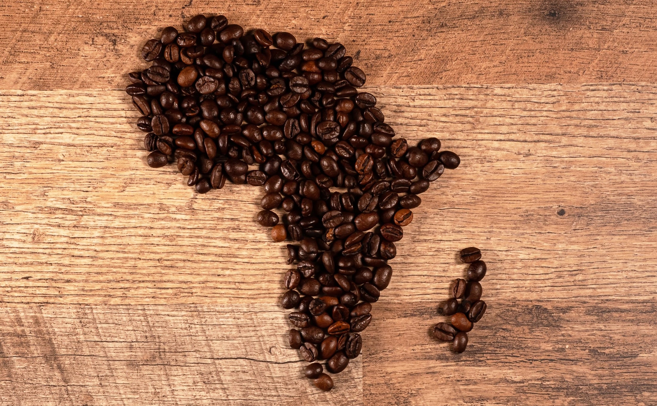 The Complete Guide to African Coffee: Origins, Regions & Flavours